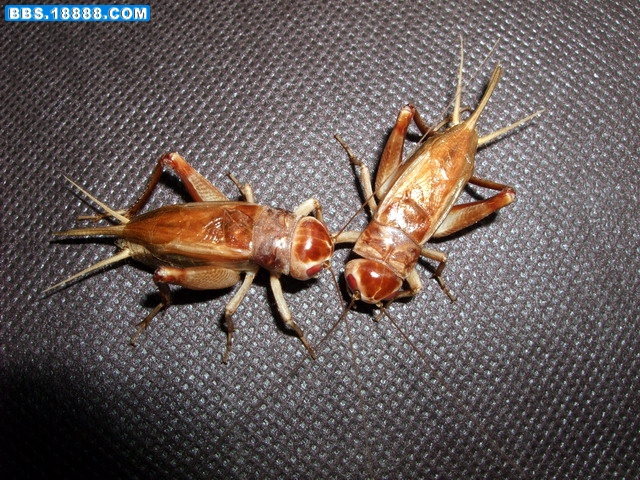 DSCF5240.jpg