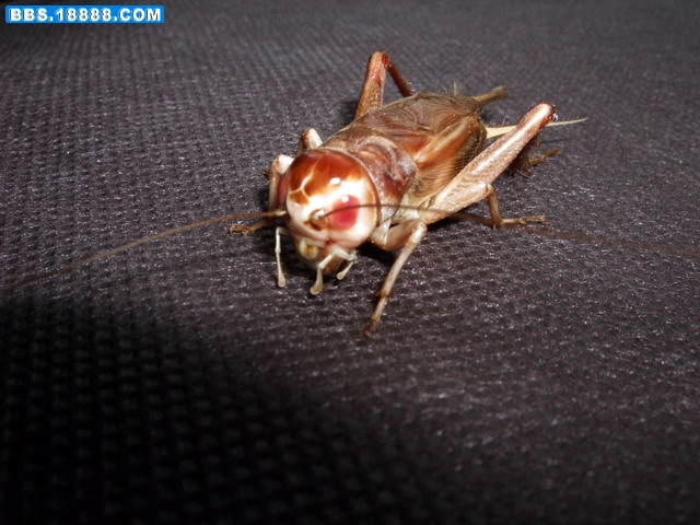DSCF5219.jpg