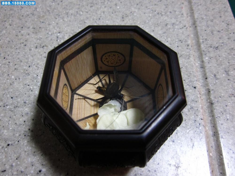 照片 001.jpg
