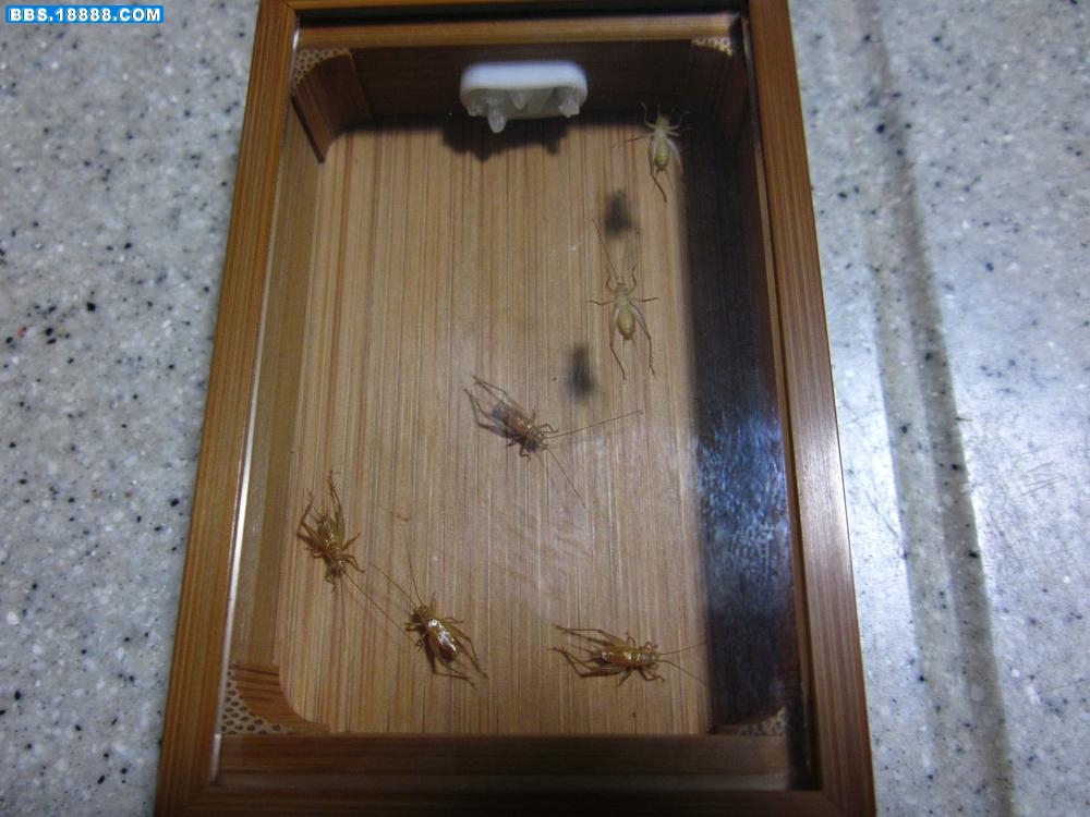 照片 008.jpg