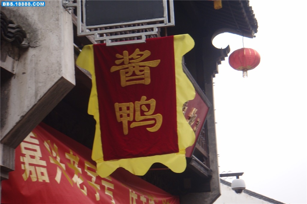 DSC01902_副本.jpg
