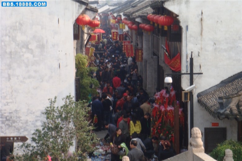 DSC01770_副本.jpg