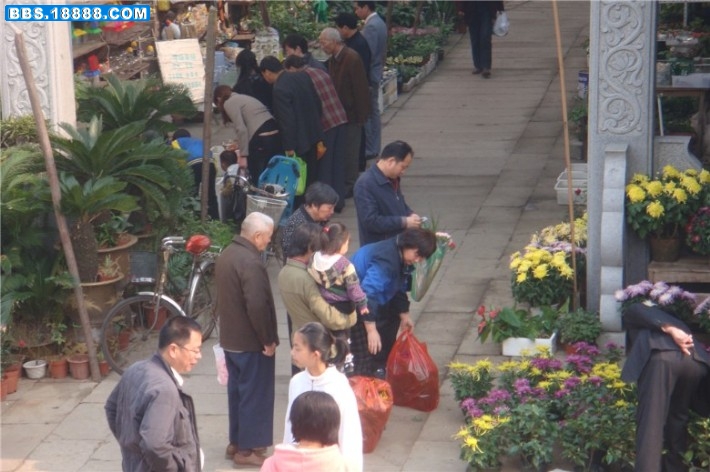 DSC01774_副本_副本.jpg