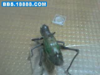 grab01028.jpg