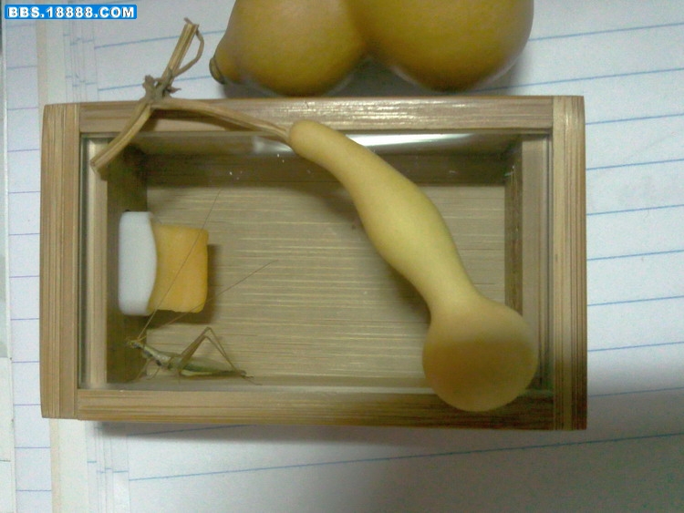 照片0005.jpg