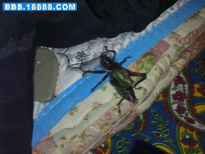 20101104042.jpg