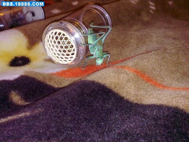 20101116074.jpg