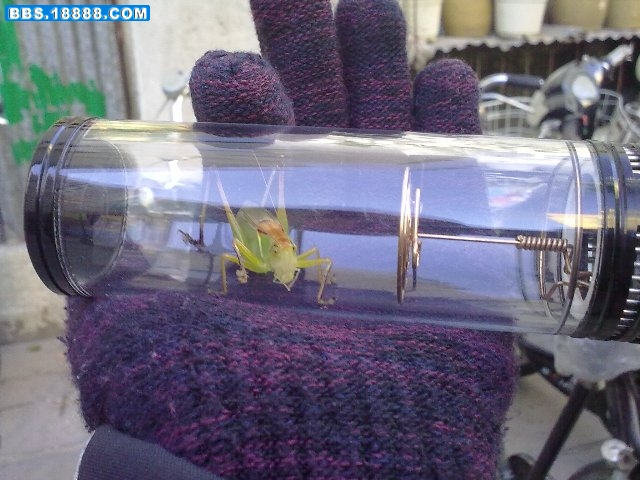 20101113058.jpg