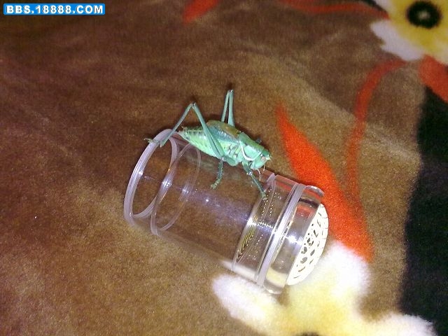 20101116073.jpg