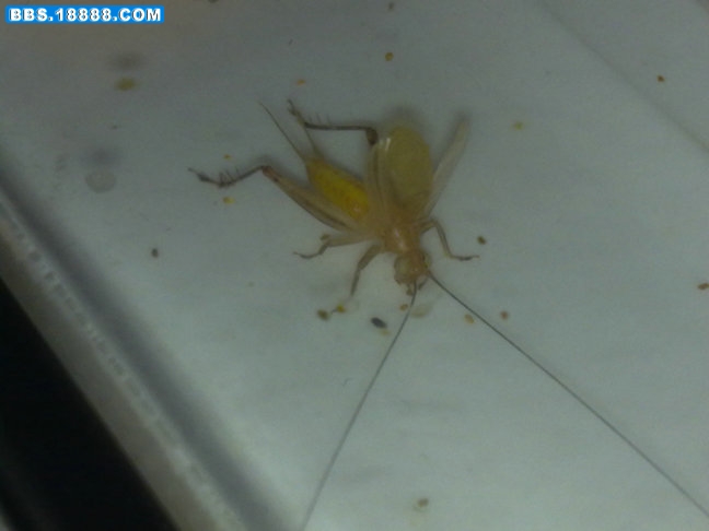 20101009043.jpg
