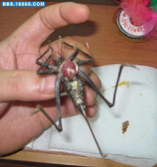 07.jpg