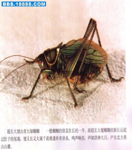 04.jpg