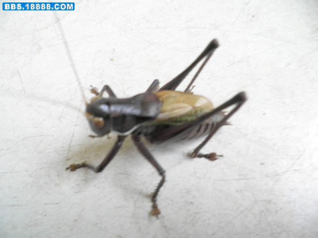 PB090835.JPG