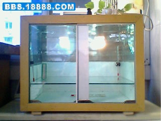IMG0114A.jpg