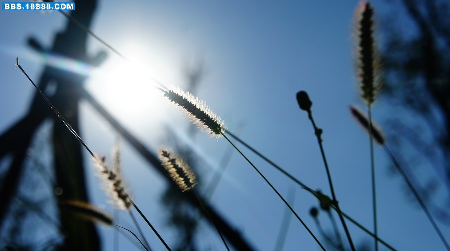 nEO_IMG_DSC08456.jpg
