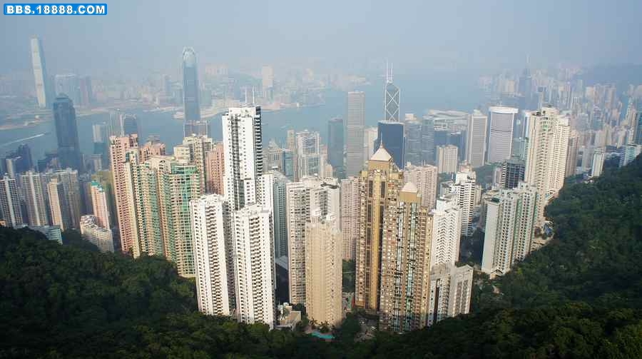 nEO_IMG_DSC03484.jpg