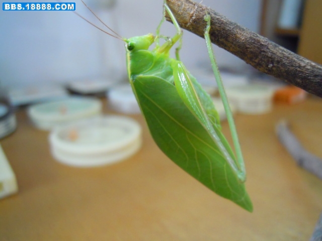 照片 004.jpg