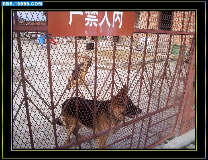 nEO_IMG_照片0606.jpg