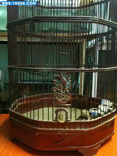 照片 084.jpg