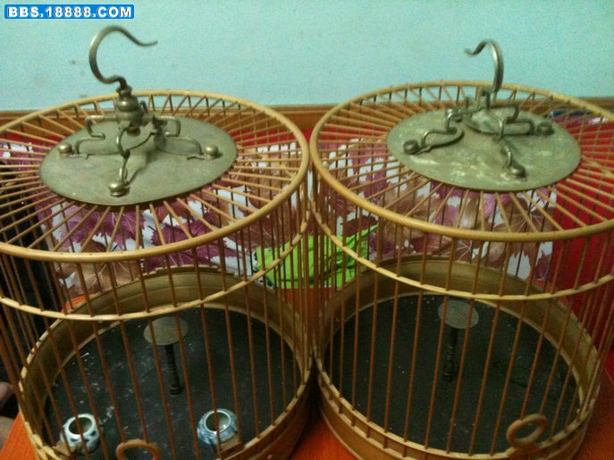 照片 075_1.jpg