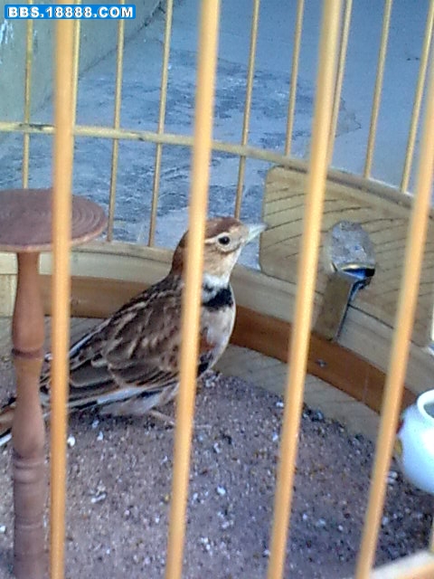 20101120_001.jpg