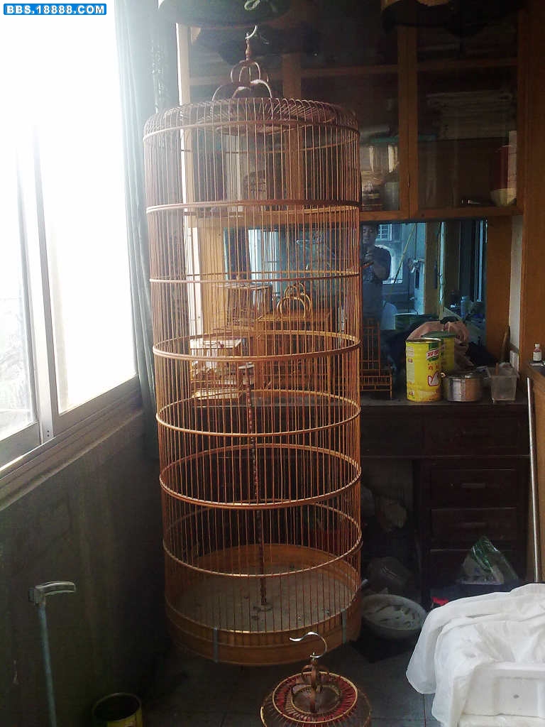 20101006678.jpg