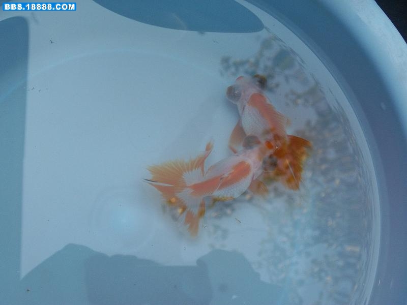 照片 012.jpg