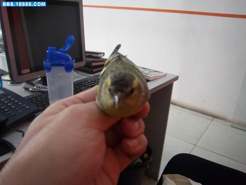 照片 170.jpg
