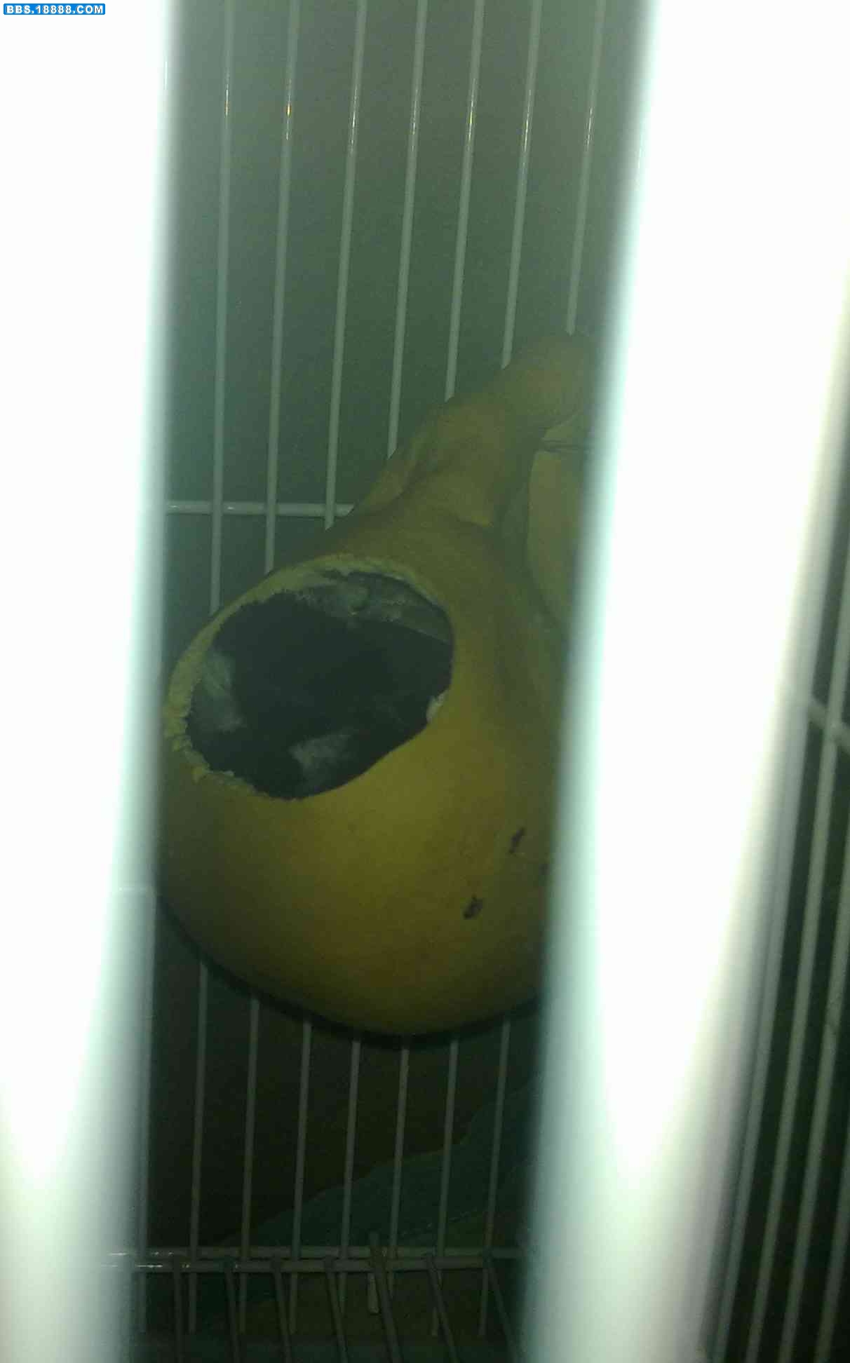 20101107562.jpg
