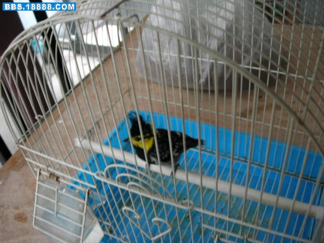 DSCN5430.JPG