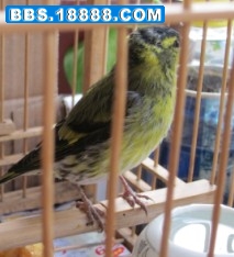 )@8ZAD[%_S8AD00E]E]9P$6.jpg