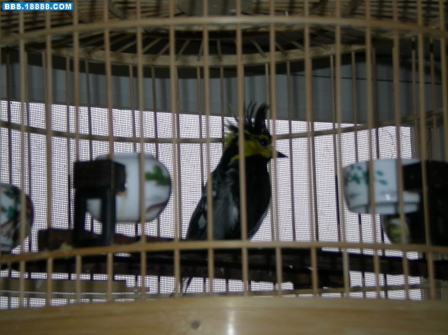 照片 1910001.jpg