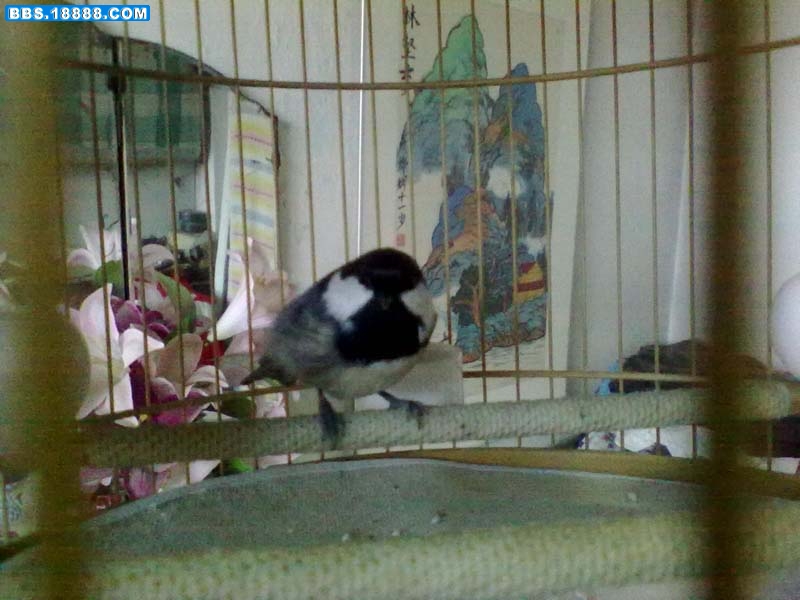 20101108245.jpg
