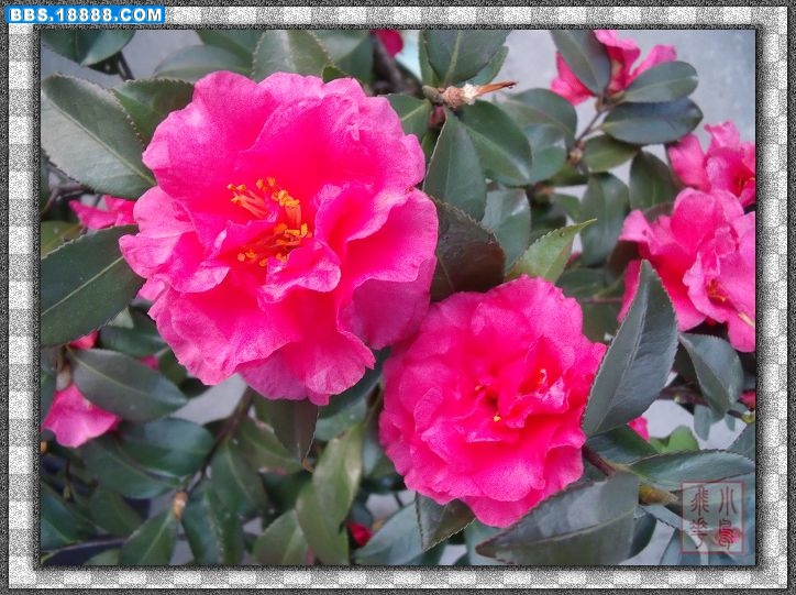 DSCF3633.jpg