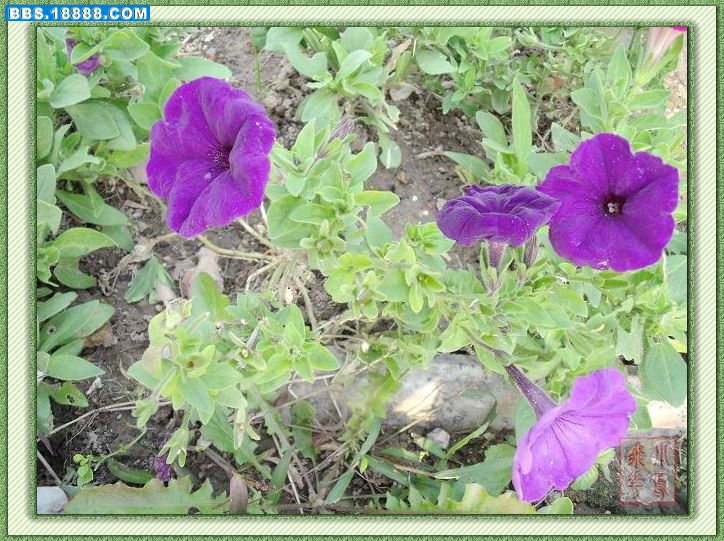 DSCF4948.jpg