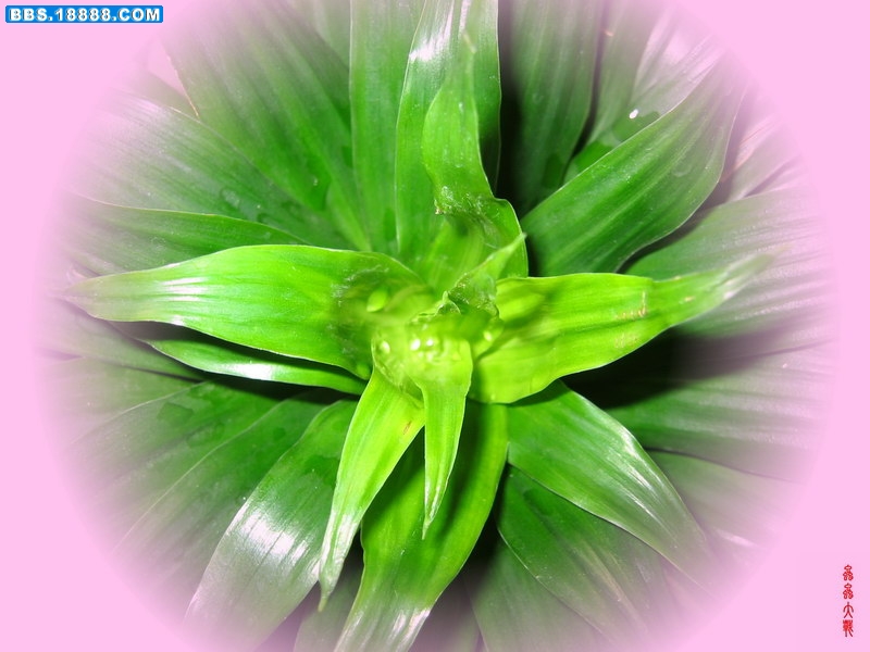 IMG_1030_调整大小.JPG