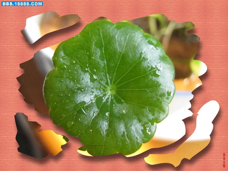 IMG_1548_调整大小.JPG