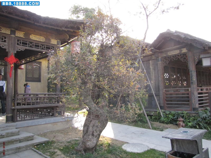 IMG_1900_调整大小.JPG
