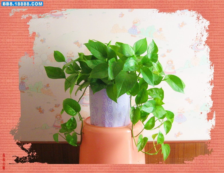 IMG_1071_调整大小.JPG