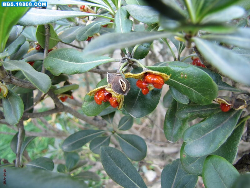IMG_1907_调整大小.JPG