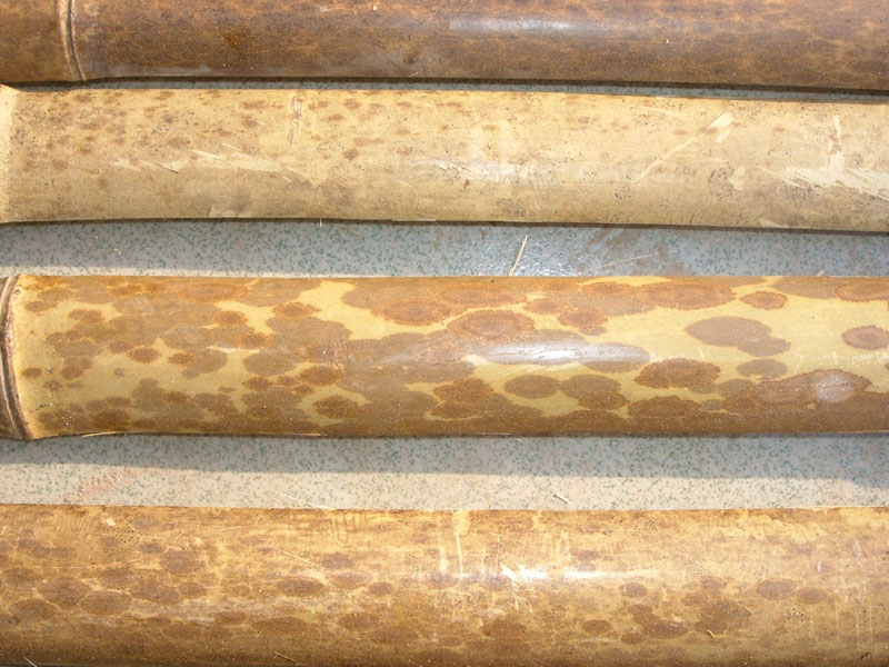 照片 155.jpg