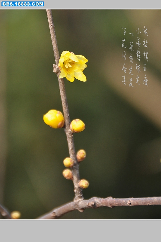 01.12.260 081.jpg