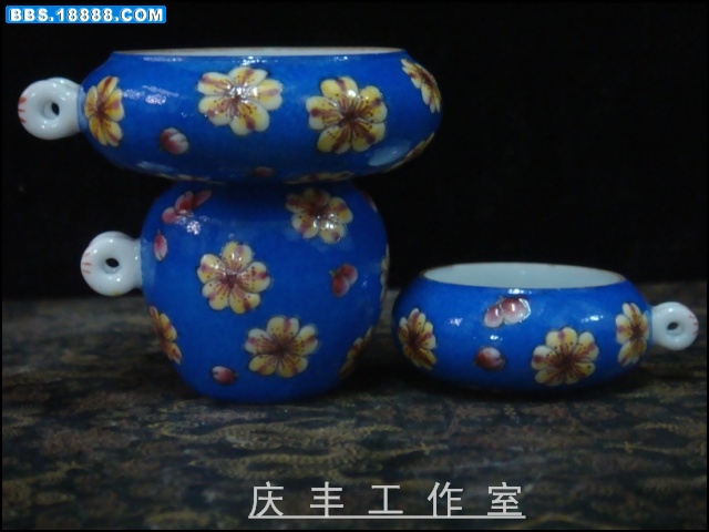 DSC01729.jpg