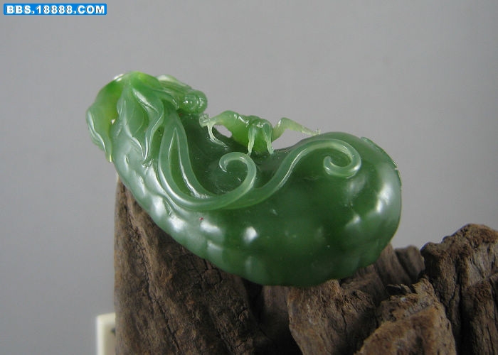照片 095.jpg