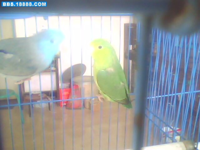 IMG0347A.jpg