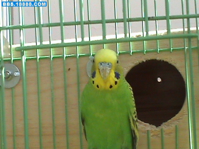 DSC01100.JPG