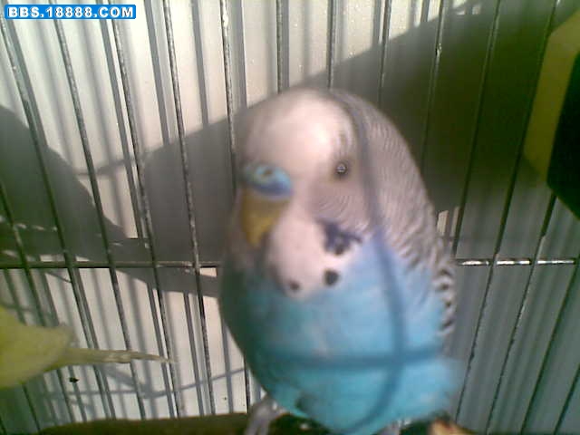 20101204(004).jpg