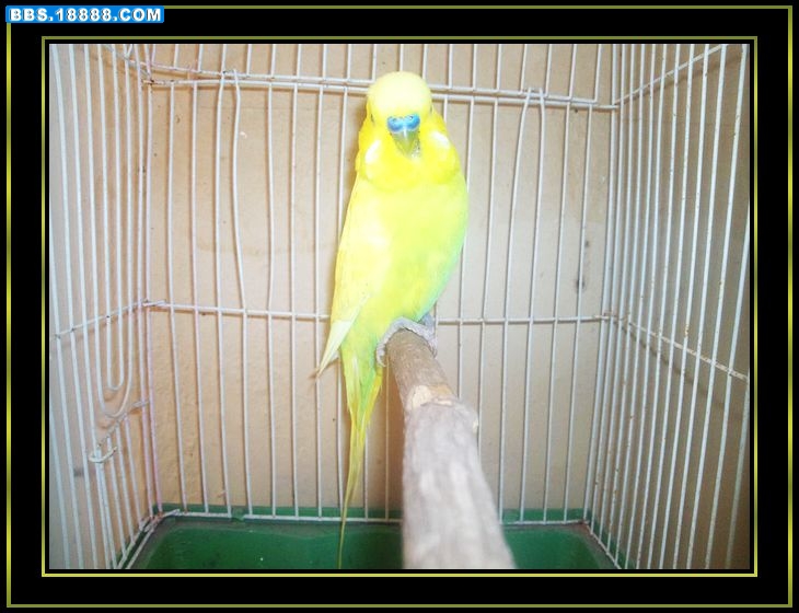 nEO_IMG_照片0661.jpg