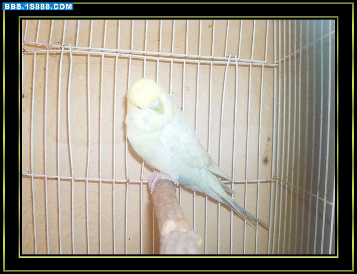 nEO_IMG_照片0650.jpg