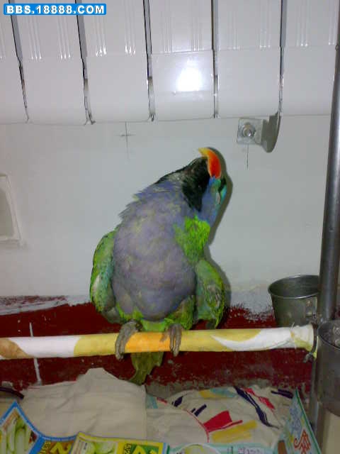 20101231827.jpg